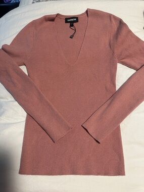 Express Dusty Rose V-Neck Long Sleeve Sweater